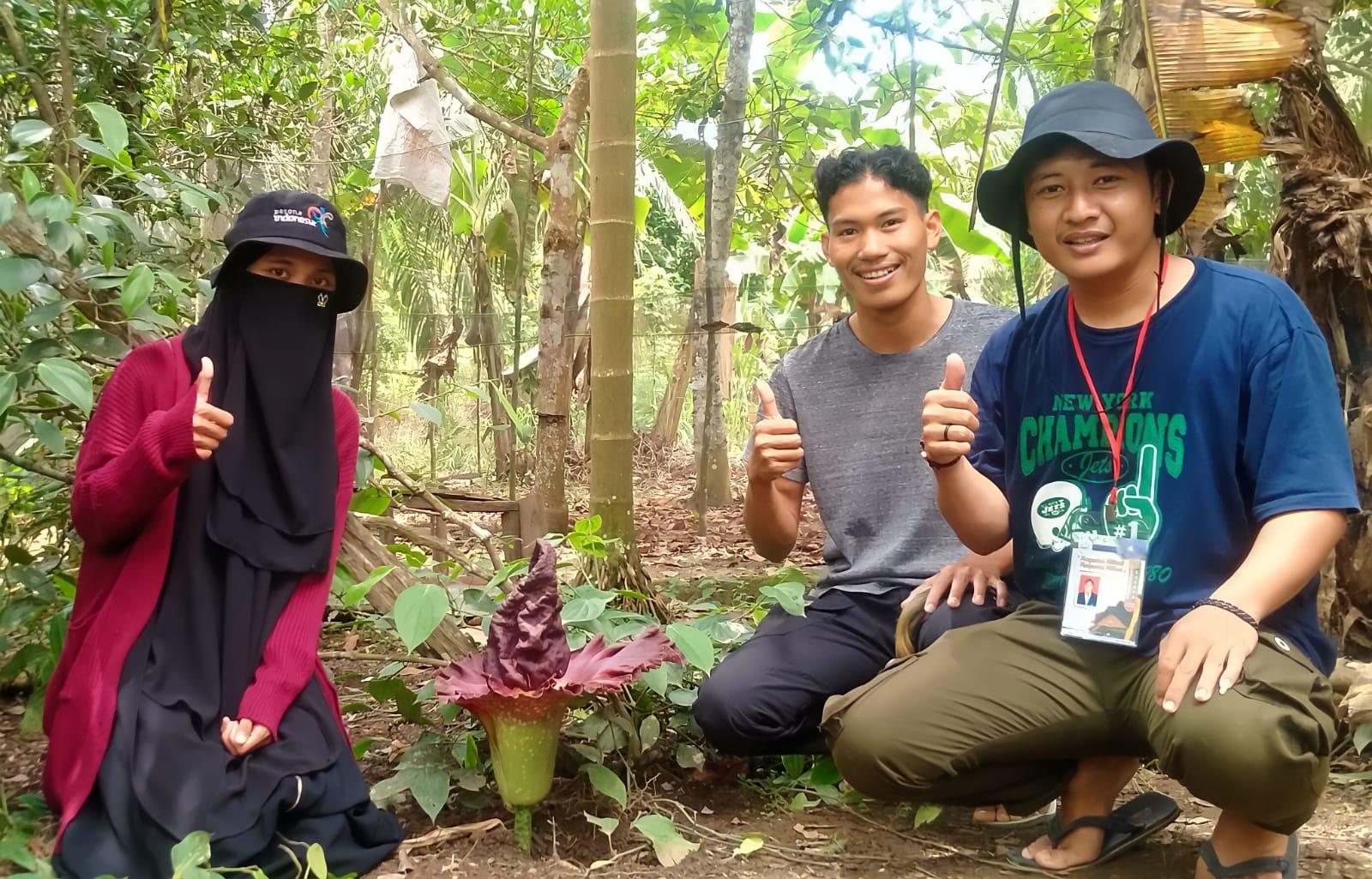 Mahasiswa KKN Kunjungi  Mekarnya Tanaman Langka dibelakang Rumah Warga