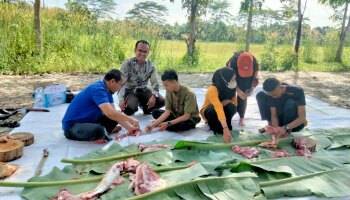 Perdana, Dema FT IAIN SAS Babel Sembelih 3 Ekor Kambing